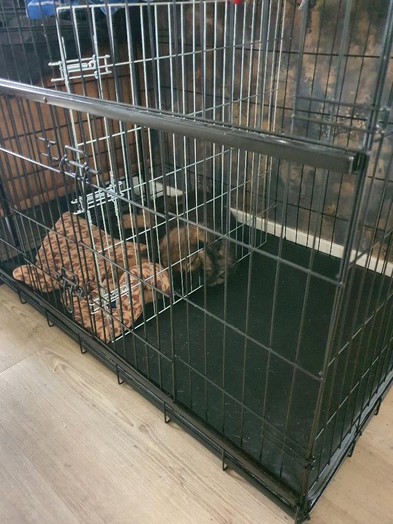 Grote bench, Dieren en Toebehoren, Hondenbenches, Ophalen, Gebruikt