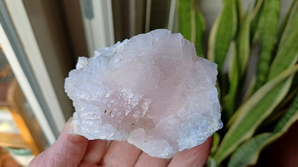 D52-10 Mangano Calciet UV gev roze Madan Bulgarije #collecti, Ophalen of Verzenden, Mineraal