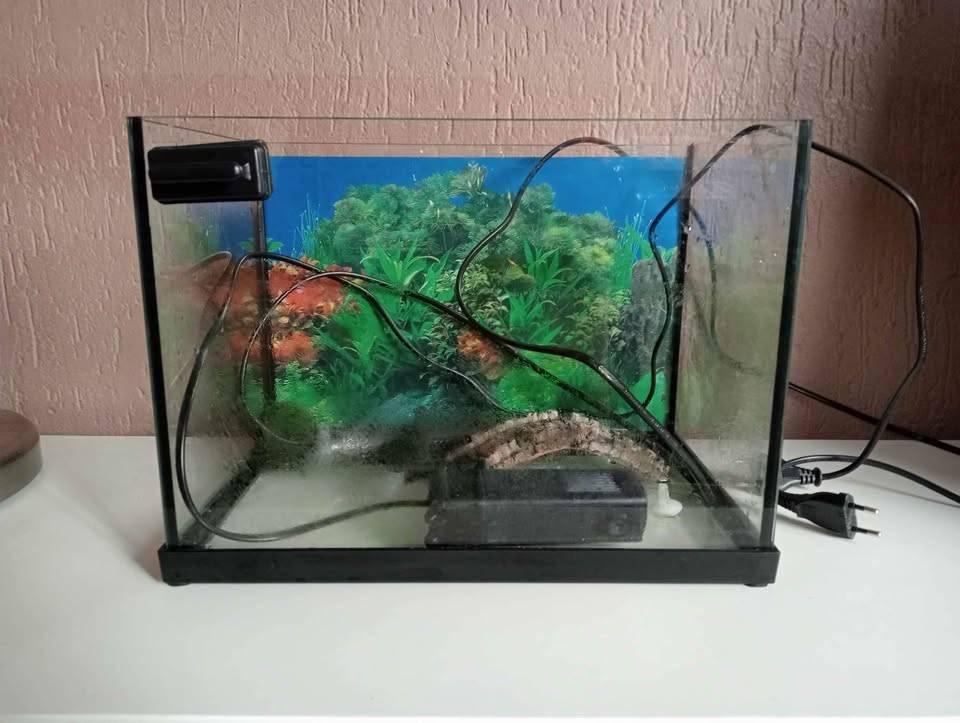 Compleet aquarium met automatische voeder apparaat en filter, Dieren en Toebehoren, Vissen | Aquaria en Toebehoren, Ophalen, Overige merken
