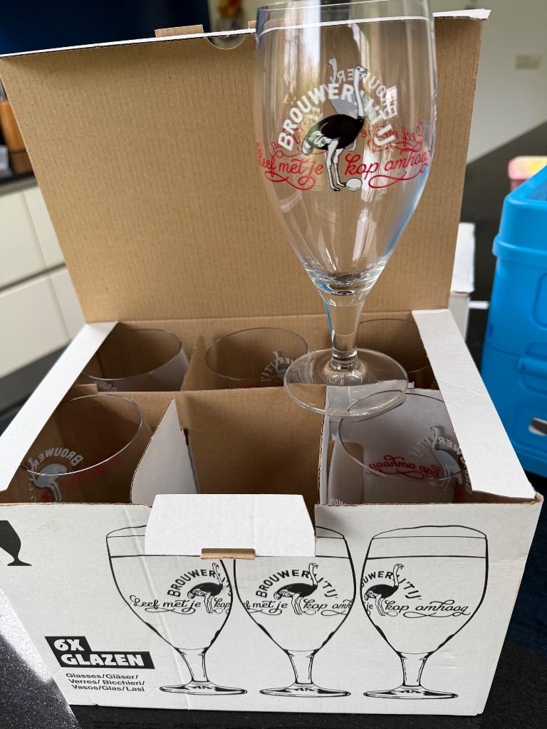 Bierglazen, Brouwerij r IJ, Verzamelen, Biermerken, Ophalen of Verzenden, Nieuw, Glas of Glazen, Overige merken