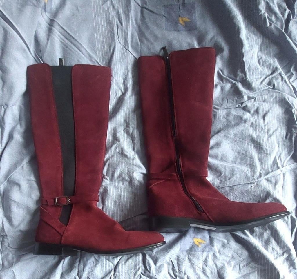 Kingsley Lauren paardrijlaarzen m 42 Nieuw, Dressuur, Nieuw, Ophalen of Verzenden, Dames