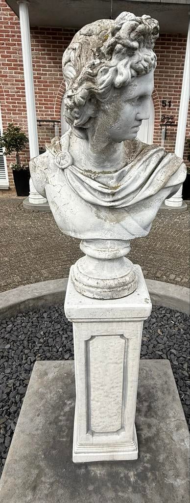 Tuinbeeld Apollo van Belvedère, Tuin en Terras, Ophalen of Verzenden, Gebruikt, Beton, Mensenbeeld