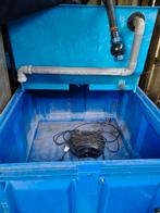 Vissenbak, Dieren en Toebehoren, Overige soorten