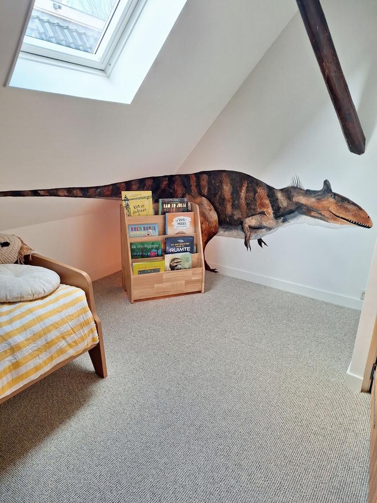Muurschildering op locatie, Ophalen of Verzenden, Nieuw, Wanddecoratie