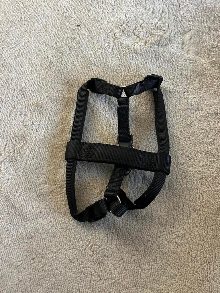 Puppy tuig maat XS, Ophalen of Verzenden, Zo goed als nieuw