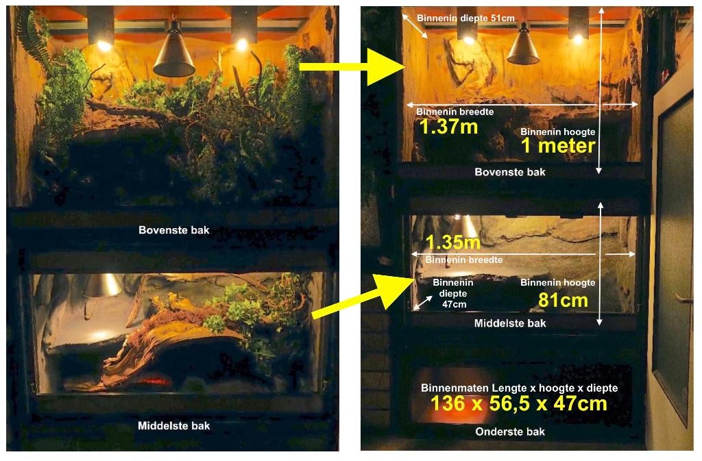Terrarium stelling 3 betonplex ingericht 259cm hg x151cm br, Ophalen, Gebruikt, Terrarium of Paludarium