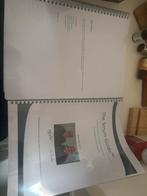 The Scrum Guide - Scrum Master, Ophalen of Verzenden, Gamma, Gelezen, HBO