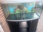 aquarium, Dieren en Toebehoren, Vissen | Aquaria en Toebehoren, Ophalen, Zo goed als nieuw, Leeg aquarium