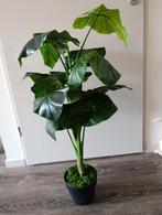 Kunstplant. Nep plant., Ophalen