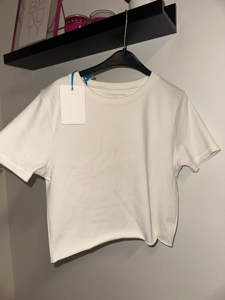 Gymshark Everywear Cropped Ribbed Tee, Kleding | Dames, Beige, Maat 42/44 (L), Nieuw, Ophalen of Verzenden