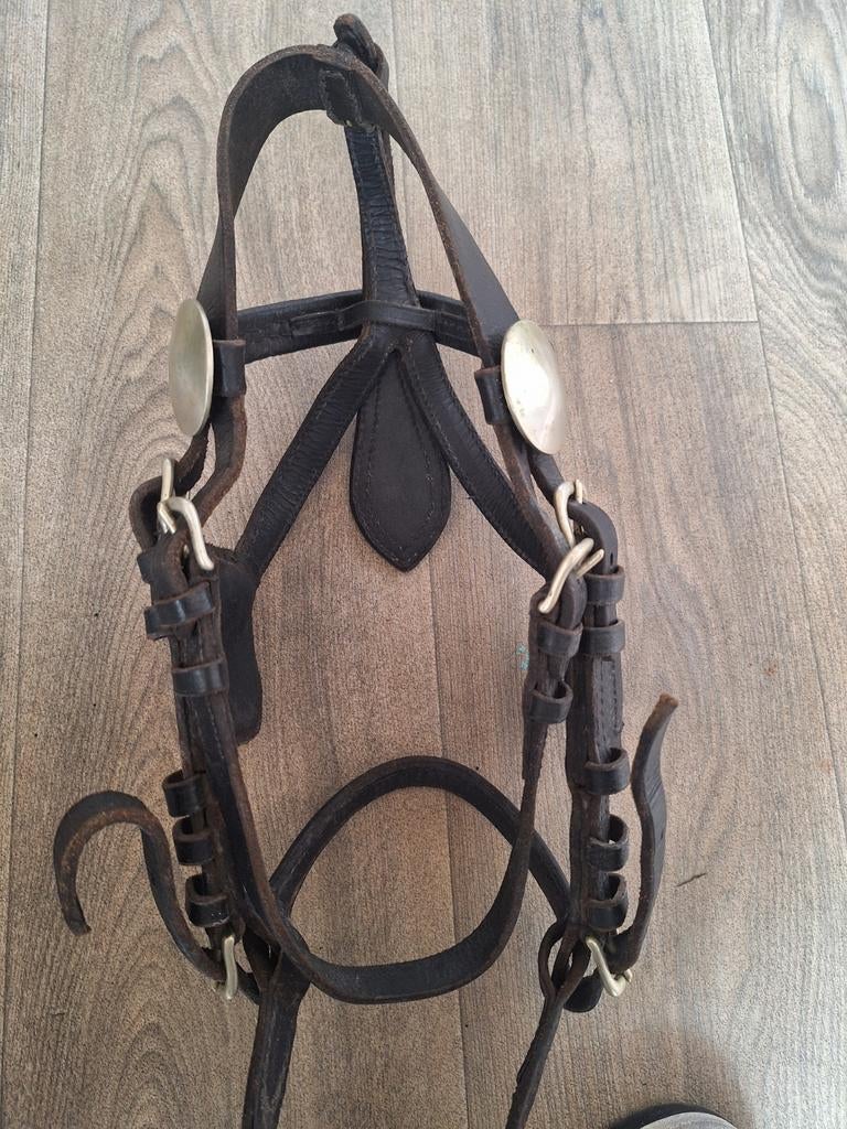 Pony hoofdstel shet of hackney, Dieren en Toebehoren, Paarden en Pony's | Hoofdstellen en Tuigage, Ophalen of Verzenden, Overige soorten