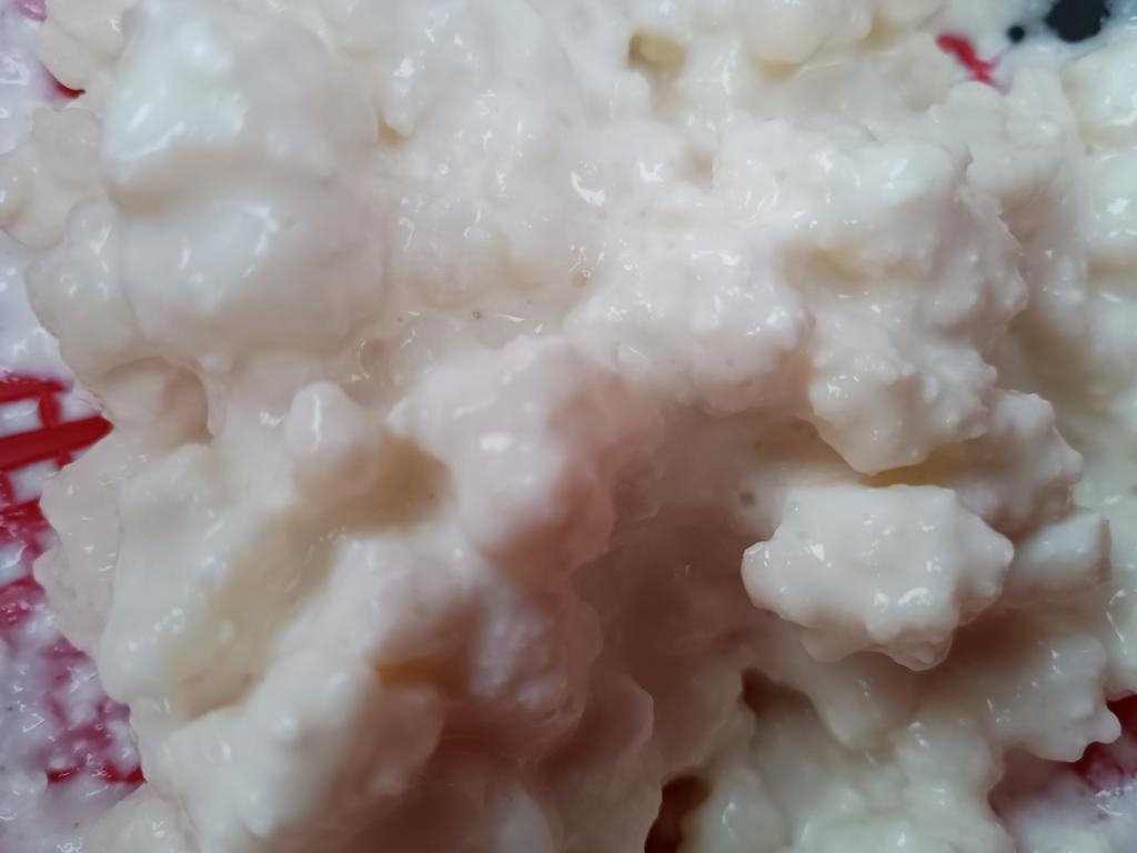 Melk kefir korrels, Ophalen