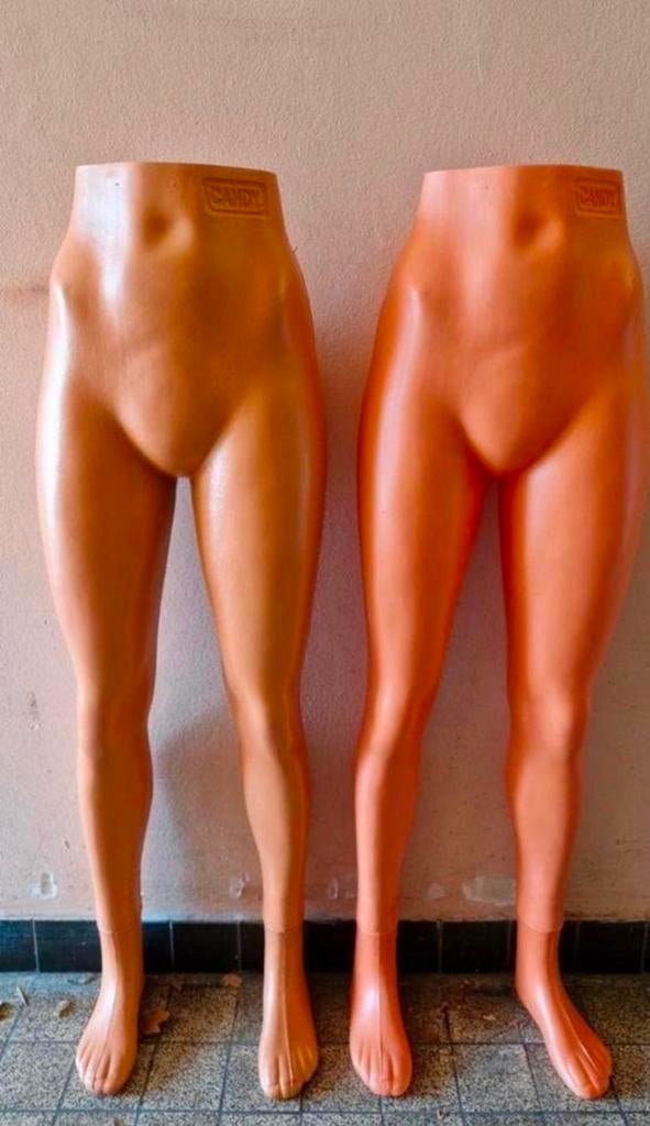 Partij torso benen display, Ophalen, ., Nieuw, .