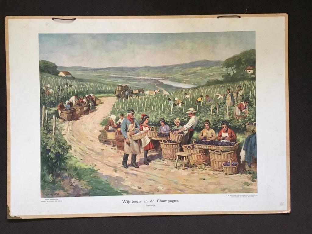 Oude schoolplaat “ Wijnbouw in de Champagne “, Antiek en Kunst, Antiek | Schoolplaten, Ophalen, Aardrijkskunde
