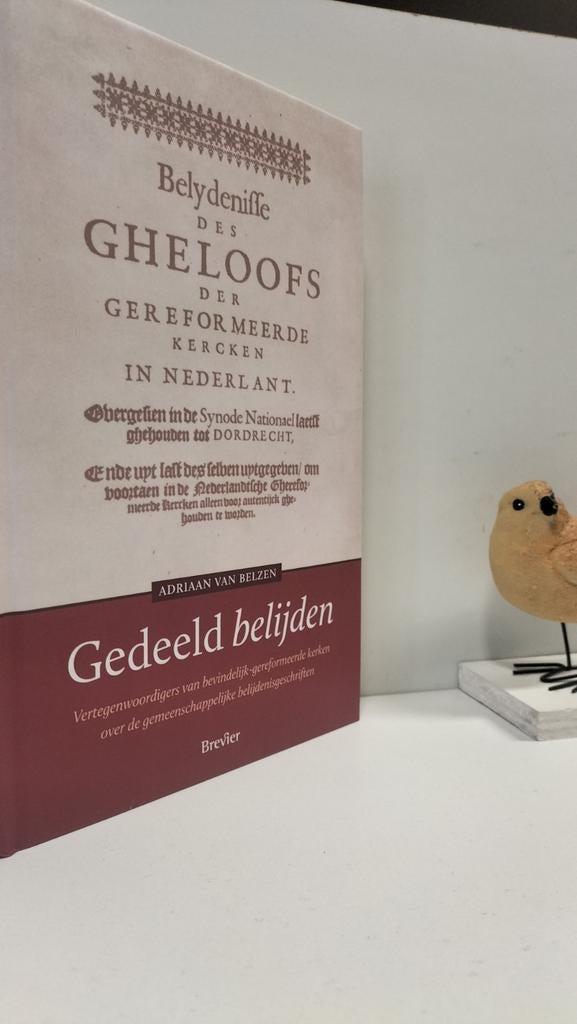 Belzen, Adriaan van; Gedeeld belijden, Ophalen of Verzenden, Gelezen, Christendom | Protestants