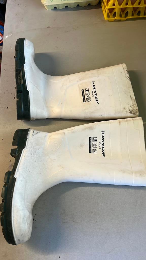 Dunlop laarzen 1 x gebruikt 30 euro, Tuin en Terras, Werkkleding, Ophalen of Verzenden, Zo goed als nieuw, Laarzen