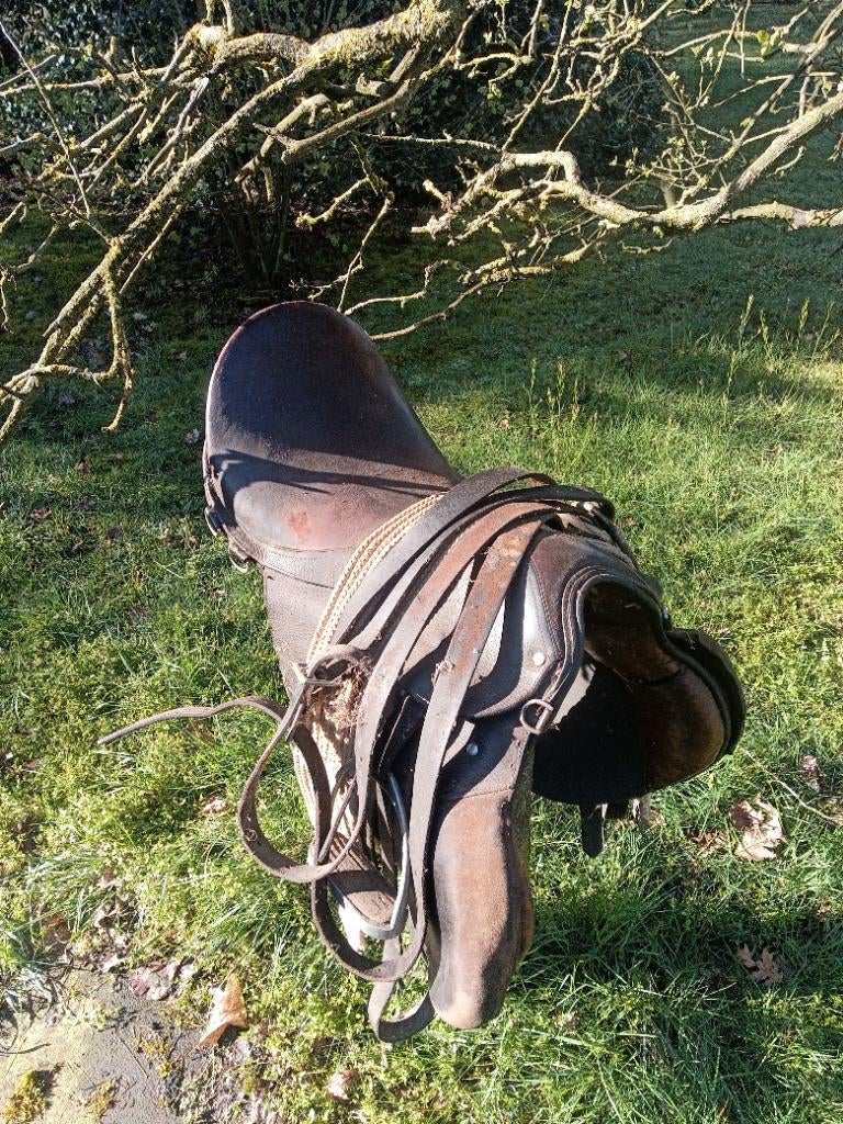 Zadels, Ophalen, Zo goed als nieuw