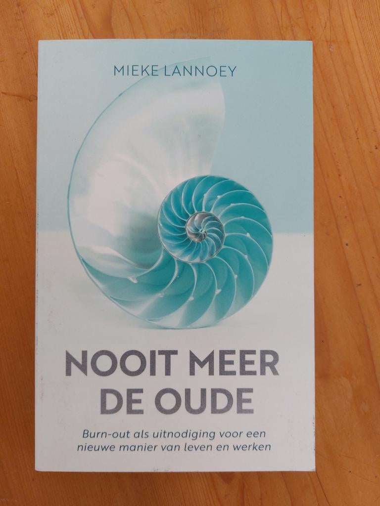 Nooit Meer De Oude - Mieke Lannoy (Burn-out), Boeken, Psychologie, Ophalen of Verzenden, Gelezen, Overige onderwerpen, Mieke Lannoy