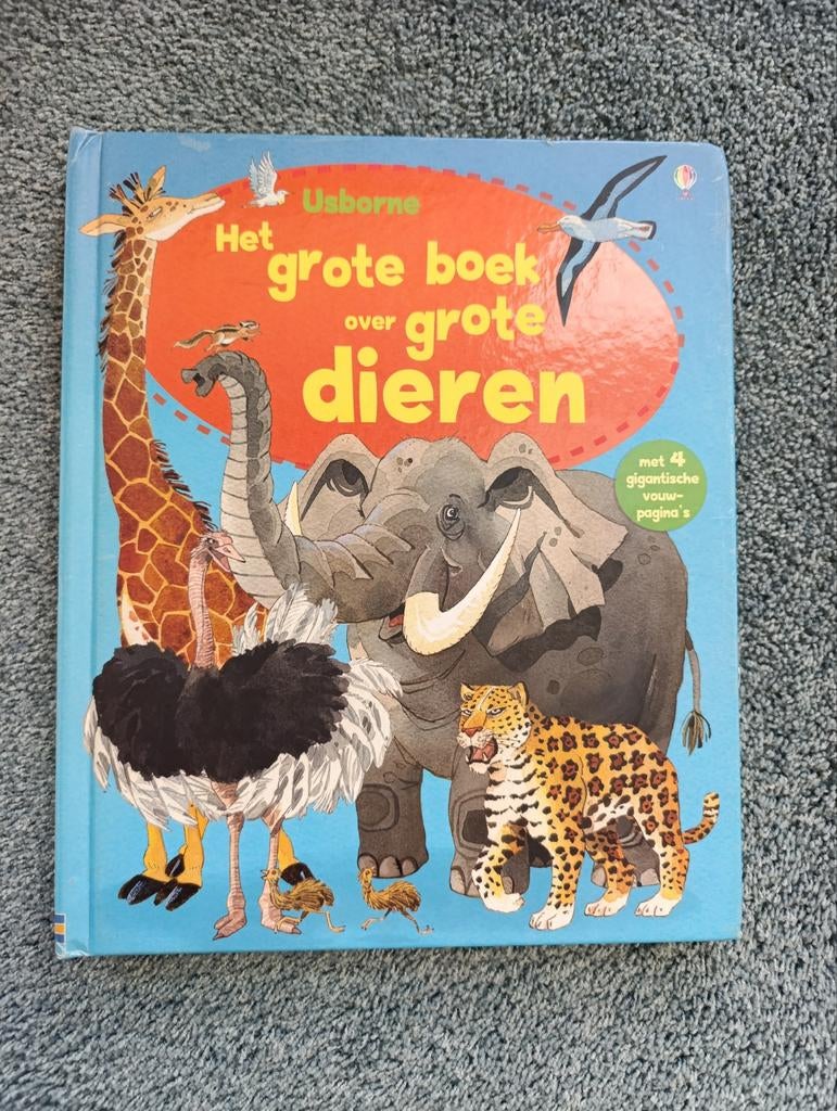 Het Grote Boek over Grote Dieren - Usborne, Boeken, Dieren en Huisdieren, Gelezen, Overige diersoorten, Ophalen of Verzenden