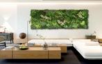 Kunsthaag Botanical Plantenwand 50cm x 50 cm €14,95,-, Stuntgras, Nieuw, Ophalen of Verzenden, Magazijnweg 14