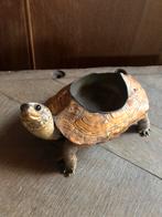 Antieke Schildpad Asbak - Rariteitenkabinet, Ophalen of Verzenden, Gebruikt