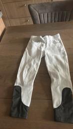 Witte rijbroek QHP maat 128, Dieren en Toebehoren, Paardrijkleding, Ophalen of Verzenden, Zo goed als nieuw, Dressuur, Onderkleding