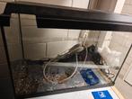 Mooie prima aquarium met wat accessoires, Dieren en Toebehoren, Vissen | Aquaria en Toebehoren, Ophalen, Zo goed als nieuw, Leeg aquarium