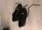 Daquared2 sneakers origineel, Kleding | Heren, Schoenen, Ophalen of Verzenden