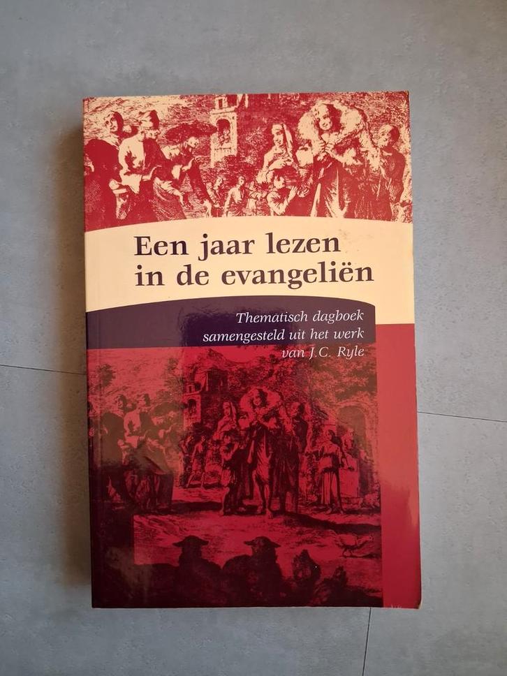 Een Jaar Lezen in de Evangeliën - dagboek, Boeken, Godsdienst en Theologie, Zo goed als nieuw, Christendom | Protestants, Ophalen of Verzenden