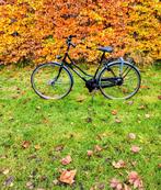 Te koop : Damesfiets BATAVUS RETRO, Fietsen en Brommers, Fietsen | Dames | Damesfietsen, Ophalen, 53 tot 56 cm, Versnellingen