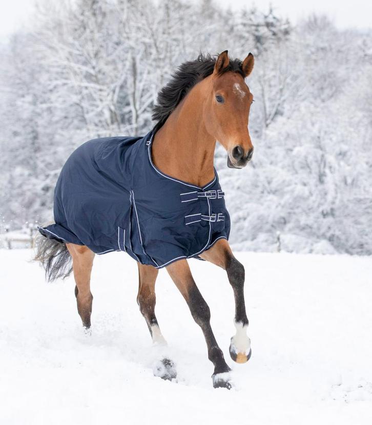 Nieuw Waldhausen regendeken 50 Gram maat 105/155 cm, Dieren en Toebehoren, Paarden en Pony's | Dekens en Dekjes, Nieuw, Deken