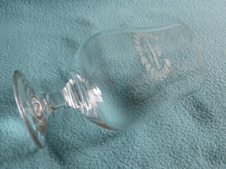 ZGAN Zweeds Bierglas 30 år Husvagnsreserven, Verzamelen, Glas en Borrelglaasjes, Zo goed als nieuw, Bierglas, Ophalen of Verzenden