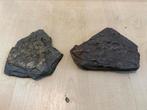 Fossielhoudende Steen - Miljoenen Jaren Oud!, Verzamelen, Mineralen en Fossielen, Ophalen of Verzenden, Fossiel