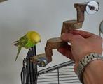 Leuk trapje voor in de kooi![ mijn vogel is er bang voor🤣], Dieren en Toebehoren, Vogels | Hokken en Kooien, Ophalen of Verzenden