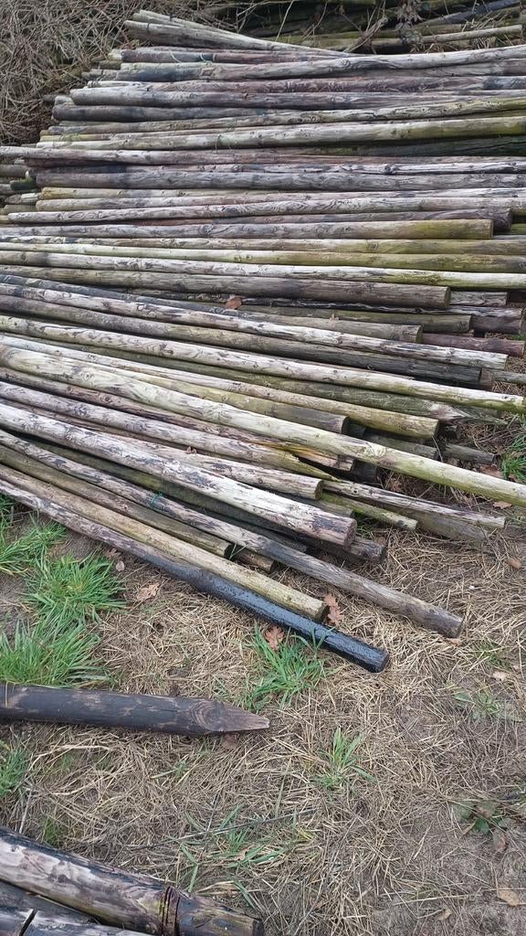 Boompalen 250cm+, Tuin en Terras, Palen, Balken en Planken, Gebruikt, Palen, 250 cm of meer, Hardhout, Ophalen