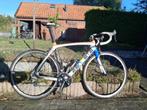 Zannata z82 the curve racefiets maat 56, Gebruikt, Carbon, Meer dan 20 versnellingen, 53 tot 57 cm