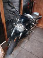 Ducati 696 Monster - Naked Bike (bj 2014), Motoren, Motoren | Ducati, 2 cilinders, Particulier, Meer dan 35 kW, ABS