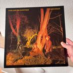 Echo & The Bunnymen - Crocodiles (LP) 1980 - DE - New Wave, Ophalen of Verzenden, Gebruikt, 12 inch, Poprock