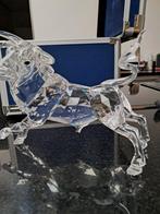 Swarovski Stier Speciale Editie 2004. Bieden vanaf €900.-, Ophalen
