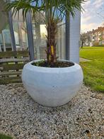 Grote kunststof pot zonder palm, Tuin en Terras, Bloempotten, Ophalen