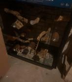 Grote vogelkooi / papegaaienkooi – in goede staat, Ophalen of Verzenden, Metaal, Vogelkooi