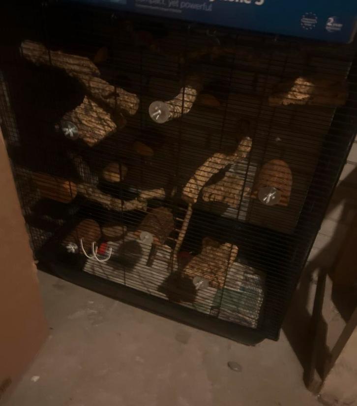 Grote vogelkooi / papegaaienkooi – in goede staat, Dieren en Toebehoren, Vogels | Hokken en Kooien, Vogelkooi, Metaal, Ophalen of Verzenden