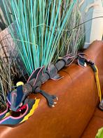 Pokemon shiny-rayquaza knuffel 80 cm, Hobby en Vrije tijd, Verzamelkaartspellen | Pokémon, Verzenden