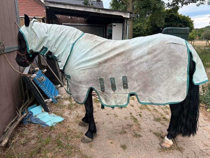 Rambo eczeem deken maat 175, Dieren en Toebehoren, Paarden en Pony's | Dekens en Dekjes, Gebruikt, Deken, Ophalen of Verzenden