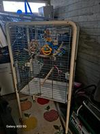 Papegaai of een andere vogel kooi, Ophalen of Verzenden, Zo goed als nieuw, Metaal, Vogelkooi