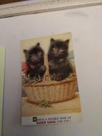 TWEE POESJES IN MAND/ HERE'S DOUBLE DOSE OF GOOD LUCK FOR YO, Ophalen of Verzenden, Voor 1920, Sterren en Beroemdheden