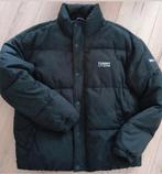 Tommy hilfiger winterjas mt L, Ophalen, Maat 52/54 (L), Zwart, Tommy Hilfiger
