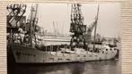 Haven Engeland coaster Emmy-S  houtlading, Ophalen of Verzenden, Zo goed als nieuw, Kaart, Foto of Prent