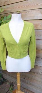 Vest groen Caroline Biss mt 36 Vaste prijs AANBIEDING, Kleding | Dames, Truien en Vesten, Ophalen of Verzenden, Zo goed als nieuw