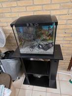45 liter aquarium incl onderstel, Dieren en Toebehoren, Ophalen, Leeg aquarium